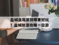 盐城自驾游到哪里好玩？盐城旅游攻略一日游