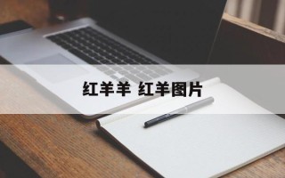 红羊羊 红羊图片