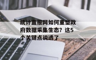 统计直报网如何重塑政府数据采集生态？这5个关键点说透了