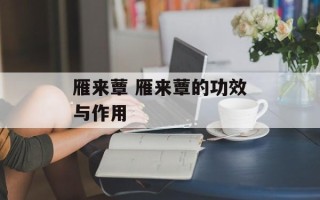 雁来蕈 雁来蕈的功效与作用