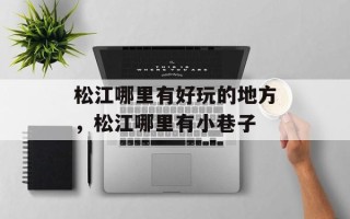 松江哪里有好玩的地方，松江哪里有小巷子