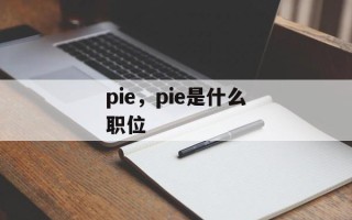 pie，pie是什么职位
