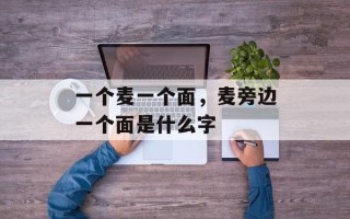 一个麦一个面，麦旁边一个面是什么字