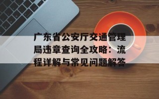广东省公安厅交通管理局违章查询全攻略：流程详解与常见问题解答