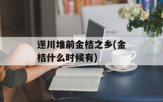 遂川堆前金桔之乡(金桔什么时候有)