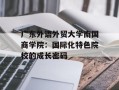 广东外语外贸大学南国商学院：国际化特色院校的成长密码