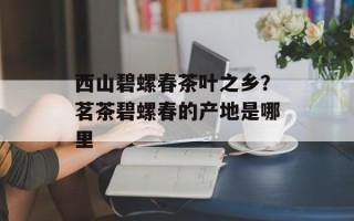 西山碧螺春茶叶之乡？茗茶碧螺春的产地是哪里