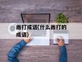 雨打成语(什么雨打的成语)