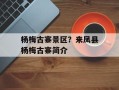 杨梅古寨景区？来凤县杨梅古寨简介