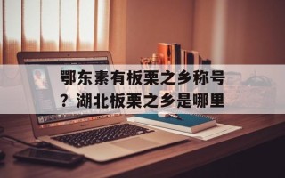 鄂东素有板栗之乡称号？湖北板栗之乡是哪里