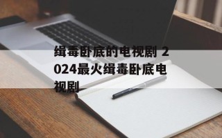 缉毒卧底的电视剧 2024最火缉毒卧底电视剧