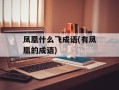 凤凰什么飞成语(有凤凰的成语)