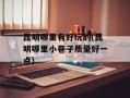 昆明哪里有好玩的(昆明哪里小巷子质量好一点)