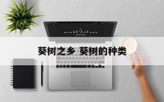 葵树之乡 葵树的种类