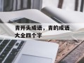 青开头成语，青的成语大全四个字
