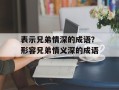 表示兄弟情深的成语？形容兄弟情义深的成语