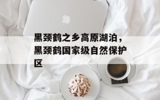黑颈鹤之乡高原湖泊，黑颈鹤国家级自然保护区