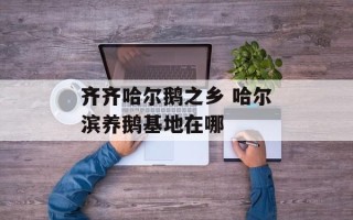 齐齐哈尔鹅之乡 哈尔滨养鹅基地在哪