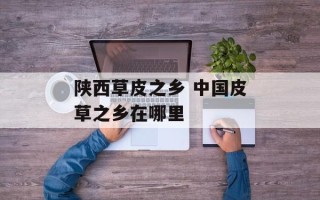 陕西草皮之乡 中国皮草之乡在哪里