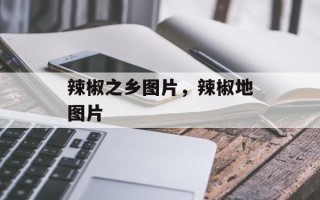 辣椒之乡图片，辣椒地图片