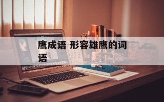 鹰成语 形容雄鹰的词语