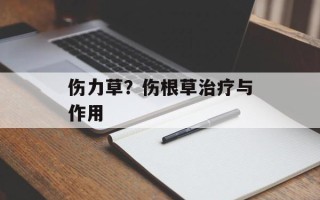 伤力草？伤根草治疗与作用