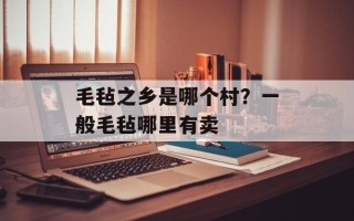 毛毡之乡是哪个村？一般毛毡哪里有卖