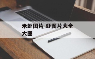 米虾图片 虾图片大全大图