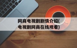 网商电视剧剧情介绍(电视剧网商在线观看)