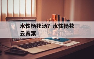 水性杨花汤？水性杨花云南菜