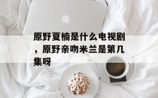原野夏楠是什么电视剧，原野亲吻米兰是第几集呀