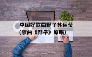 中国好歌曲野子苏运莹(歌曲《野子》原唱)