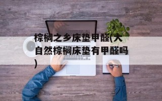 棕榈之乡床垫甲醛(大自然棕榈床垫有甲醛吗)