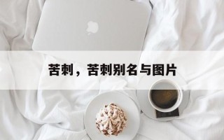苦刺，苦刺别名与图片