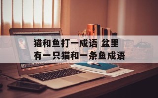 猫和鱼打一成语 盆里有一只猫和一条鱼成语