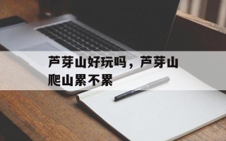 芦芽山好玩吗，芦芽山爬山累不累