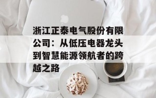 浙江正泰电气股份有限公司：从低压电器龙头到智慧能源领航者的跨越之路