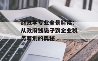 财政学专业全景解读：从政府钱袋子到企业税务筹划的奥秘