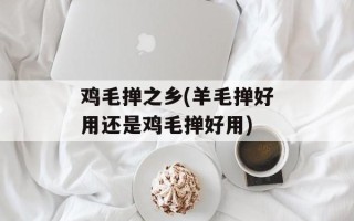 鸡毛掸之乡(羊毛掸好用还是鸡毛掸好用)