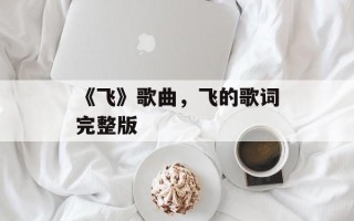 《飞》歌曲，飞的歌词完整版