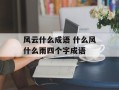 风云什么成语 什么风什么雨四个字成语