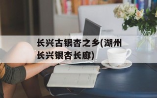 长兴古银杏之乡(湖州长兴银杏长廊)