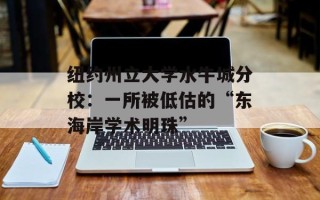 纽约州立大学水牛城分校：一所被低估的“东海岸学术明珠”