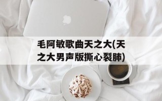 毛阿敏歌曲天之大(天之大男声版撕心裂肺)