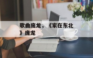 歌曲庞龙，《家在东北》庞龙
