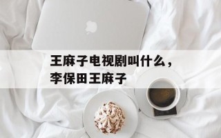 王麻子电视剧叫什么，李保田王麻子