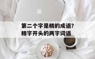 第二个字是精的成语？精字开头的两字词语