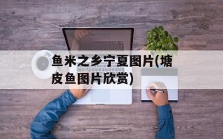 鱼米之乡宁夏图片(塘皮鱼图片欣赏)