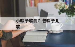 小粽子歌曲？包粽子儿歌