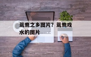 鸳鸯之乡图片？鸳鸯戏水的图片